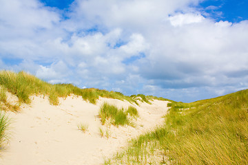 Image showing Dunes