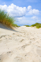 Image showing Dunes