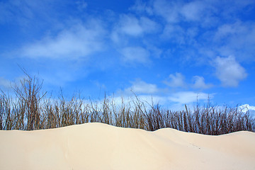 Image showing Dunes