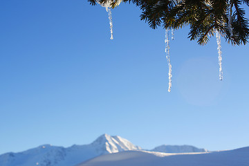 Image showing Winter