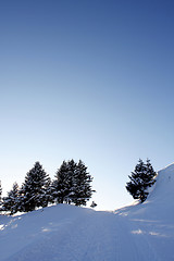 Image showing Winter