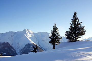 Image showing Winter