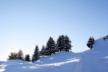 Image showing Winter