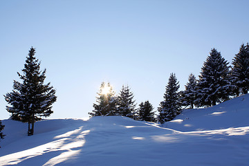 Image showing Winter