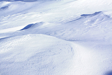 Image showing Winter