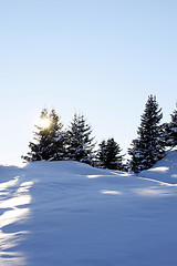 Image showing Winter