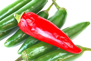 Image showing Hot Peppers