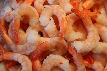 Image showing Cooked Shrimp