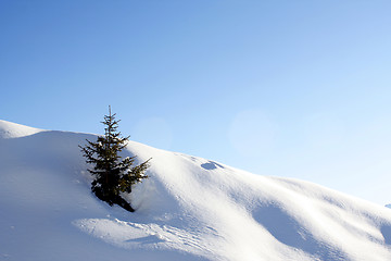 Image showing Winter