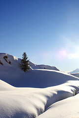 Image showing Winter