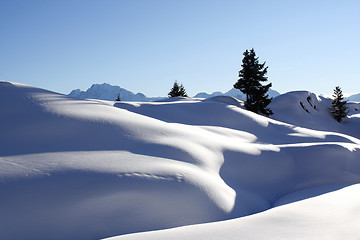 Image showing Winter