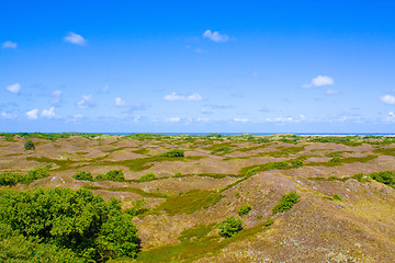 Image showing Dunes