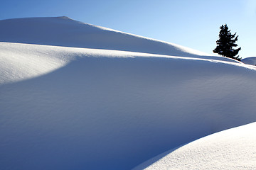 Image showing Winter