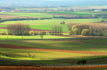 Image showing Spring fields. Germany