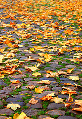 Image showing Autumn