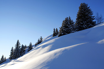 Image showing Winter