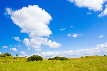 Image showing Lawn