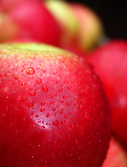 Image showing the apple harvest