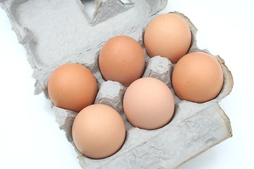 Image showing A Carton of Eggs