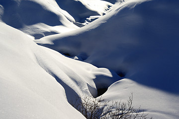 Image showing Winter