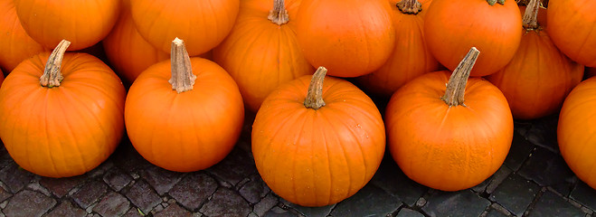 Image showing Group of pumpkins on pavements