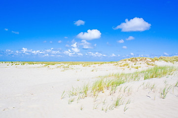 Image showing Beach