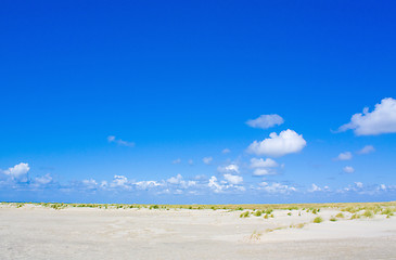 Image showing Beach