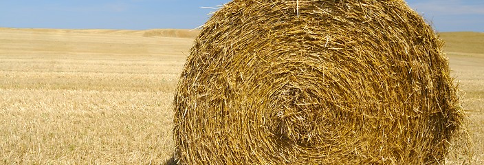 Image showing panoramic view of hay bale 