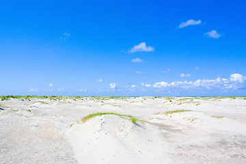 Image showing Beach