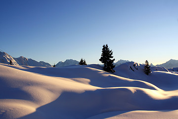 Image showing Winter