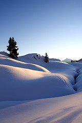 Image showing Winter