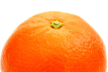 Image showing Mandarin