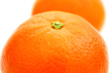 Image showing Mandarin