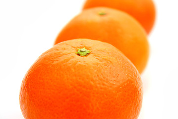 Image showing Mandarin