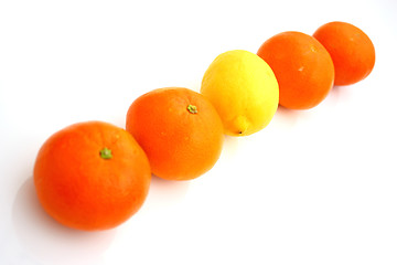 Image showing lemons and mandarins