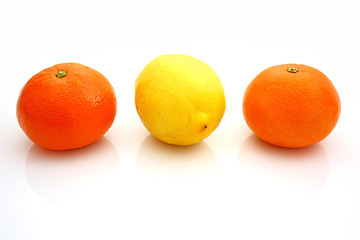 Image showing lemons and mandarins