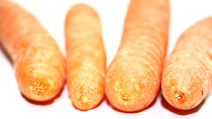 Image showing carrot