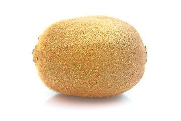 Image showing Kiwi,