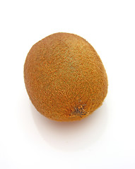 Image showing Kiwi,