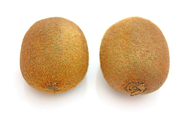 Image showing Kiwi,