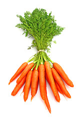 Image showing Carrots