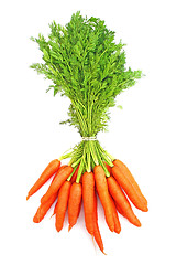 Image showing Carrots