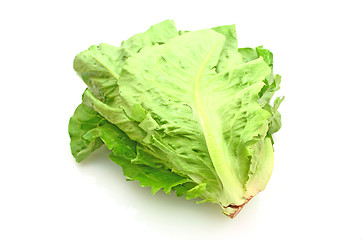 Image showing Salad