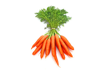 Image showing Carrots