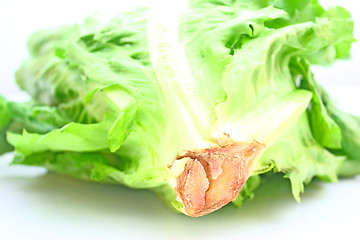 Image showing Salad