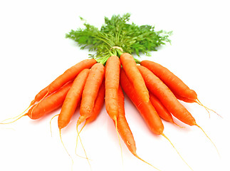 Image showing Carrots