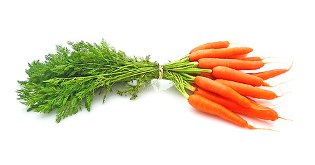 Image showing Carrots