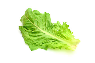 Image showing Salad