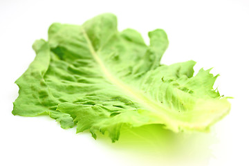 Image showing Salad