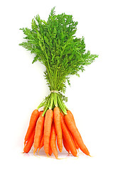 Image showing Carrots